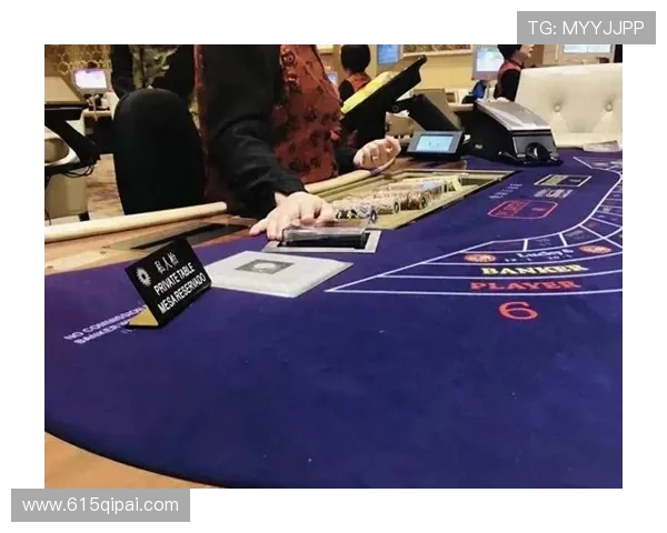 揭秘澳门赌牌的发放机构及其背后的权力结构